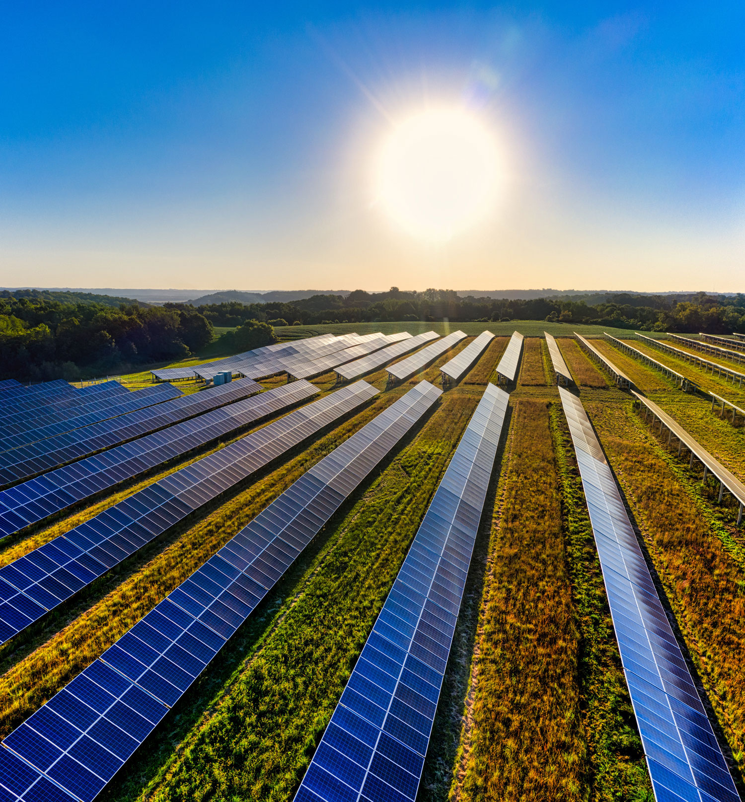 panneaux photovoltaiques rénovation en transition énergétique dans la région d’Annemasse